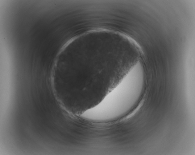 X0000114660921200910201018
