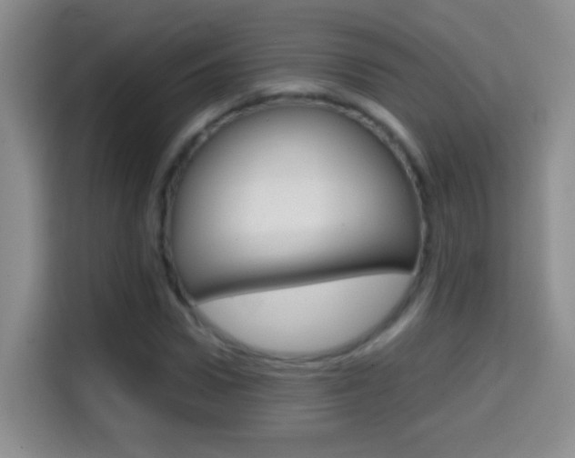 X0000114660922200910201018