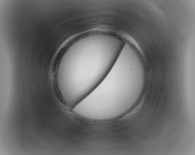 X0000114660923200910201018