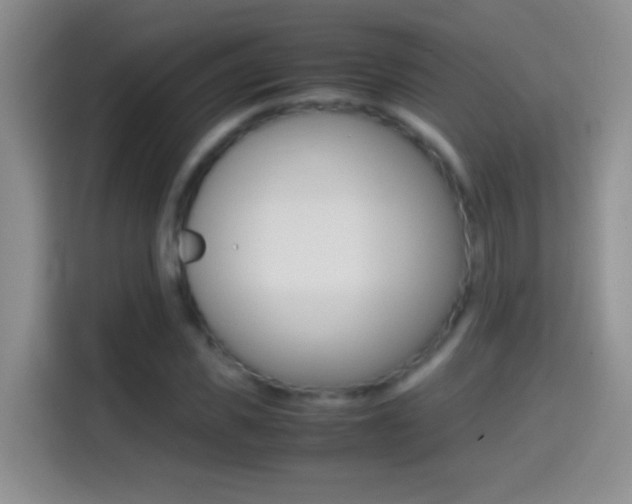 X0000114660925200910201018