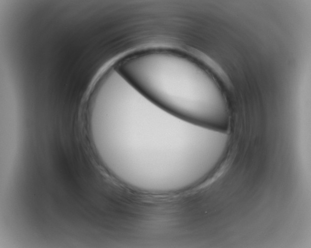 X0000114660926200910201018