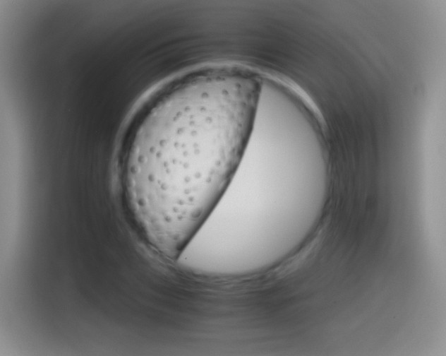X0000114660927200910201018