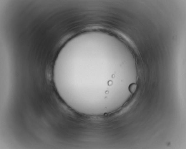 X0000114660929200910201018