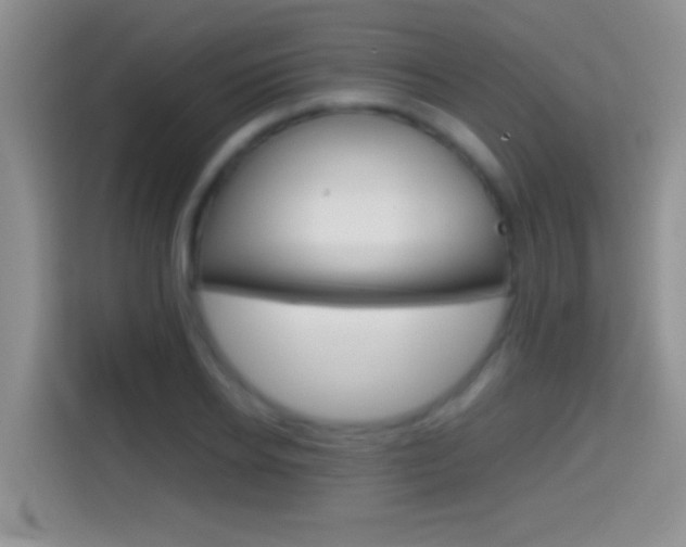 X0000114660934200910201018