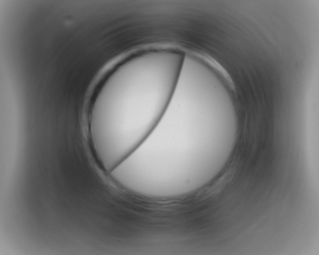 X0000114660935200910201018