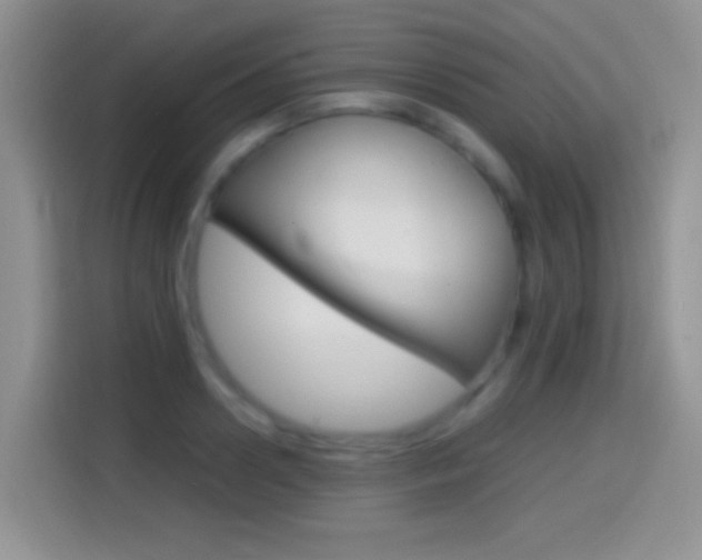 X0000114660938200910201018