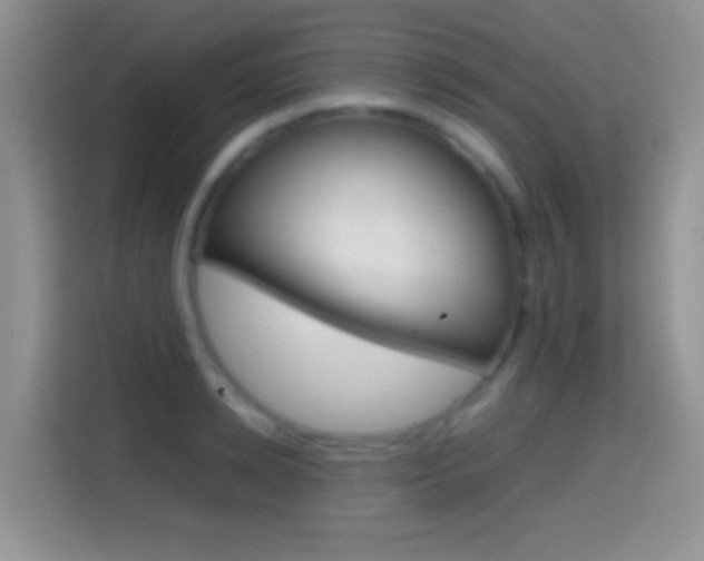 X0000114660942200910201018