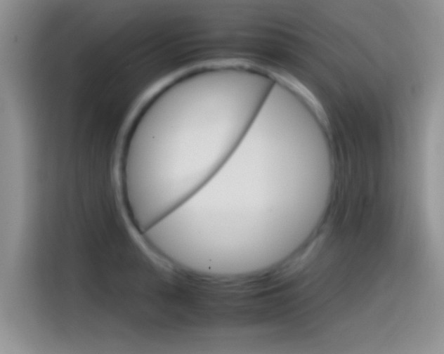 X0000114660943200910201018