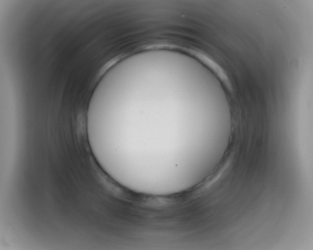 X0000114660945200910201018