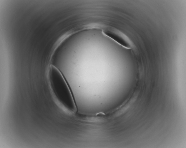 X0000114660946200910201018