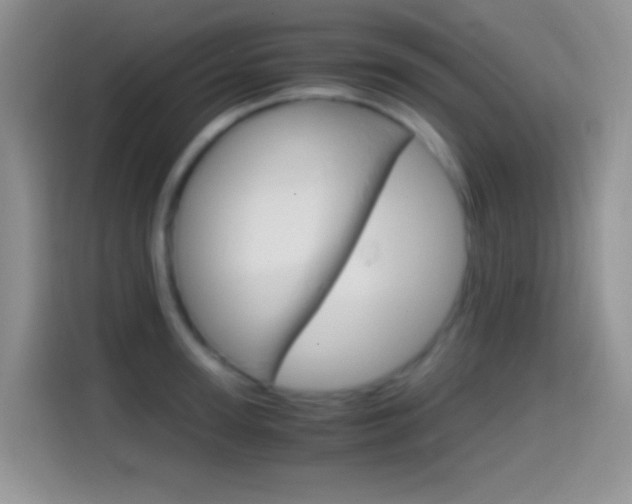 X0000114660947200910201018