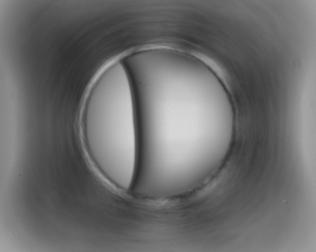 X0000114660949200910201018