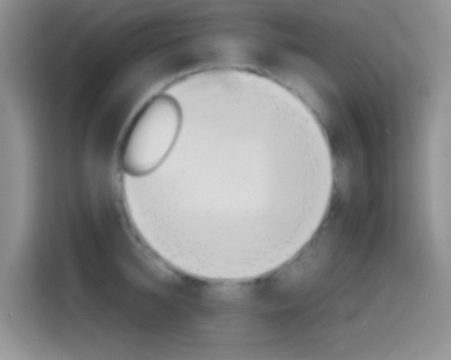 X0000114660950200910201018