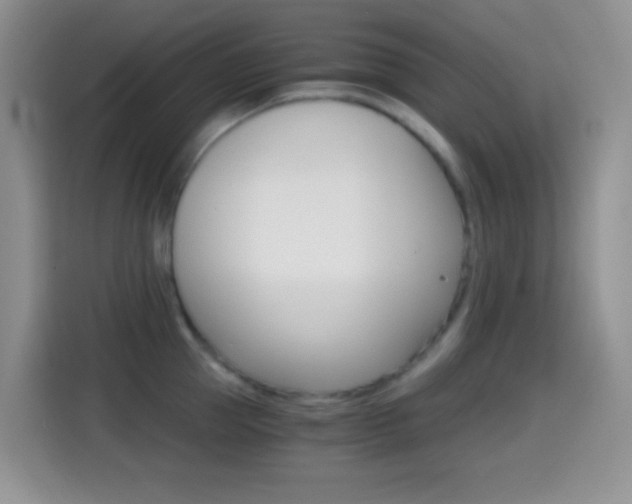 X0000114660953200910201018