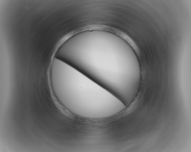 X0000114660954200910201018