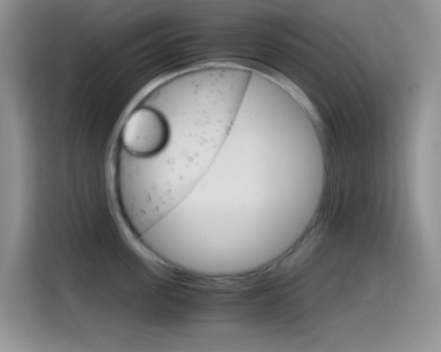 X0000114660955200910201018