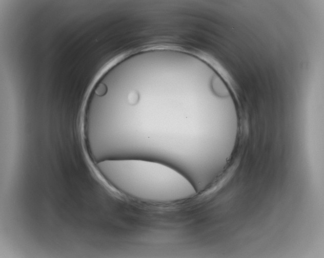 X0000114660957200910201018