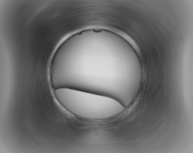 X0000114660958200910201018