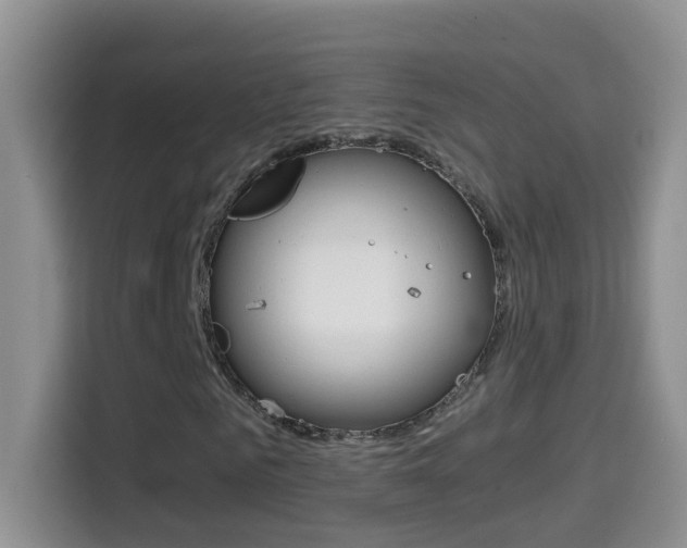X0000114660961200910201017