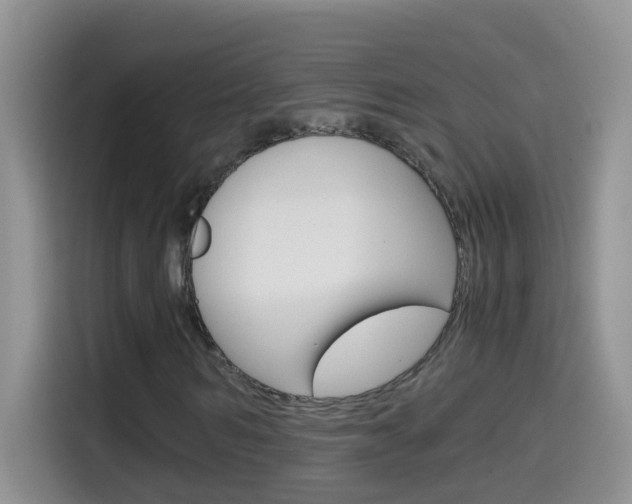 X0000114660962200910201017