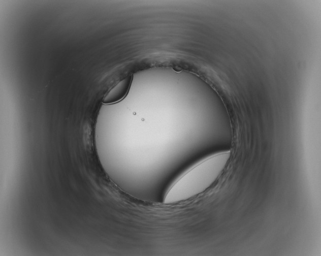 X0000114660964200910201017