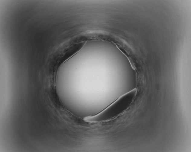 X0000114660965200910201017