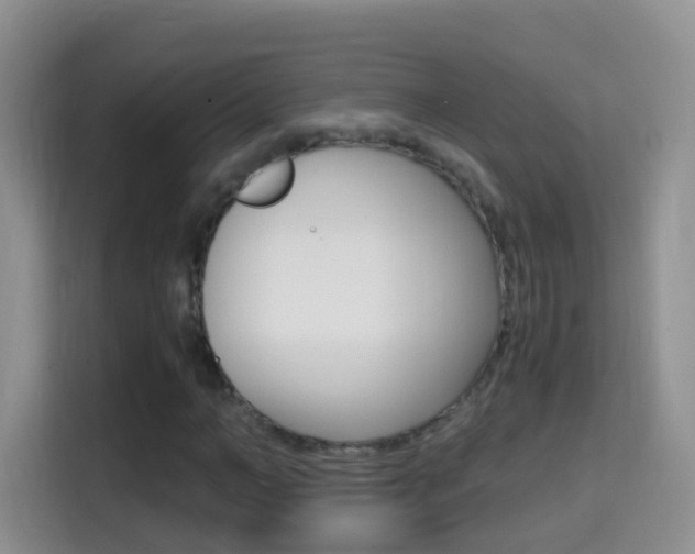 X0000114660966200910201017