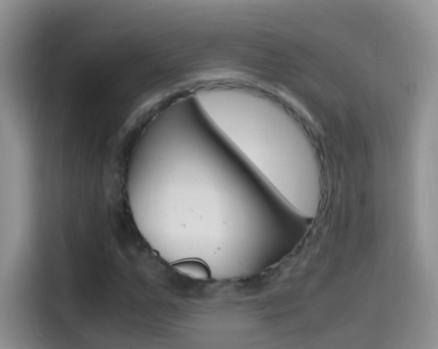 X0000114660967200910201017