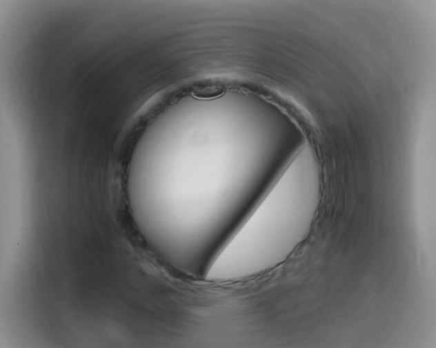 X0000114660968200910201017