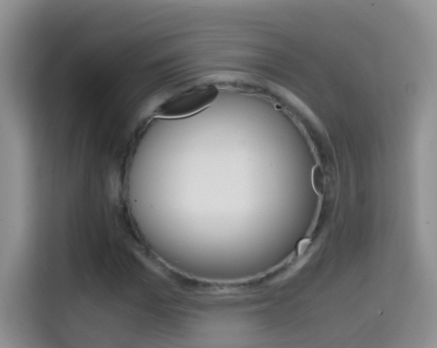 X0000114660969200910201017