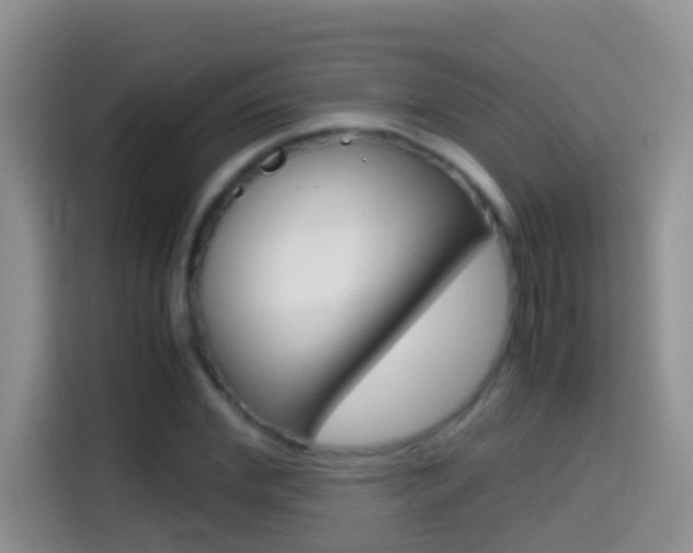 X0000114660972200910201017