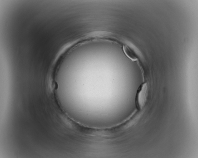 X0000114660973200910201017