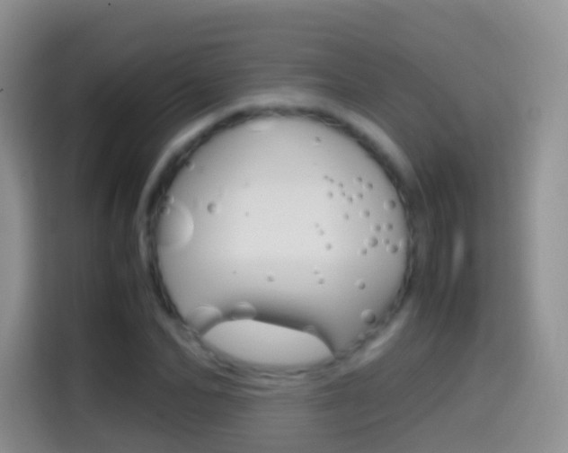 X0000114660974200910201017