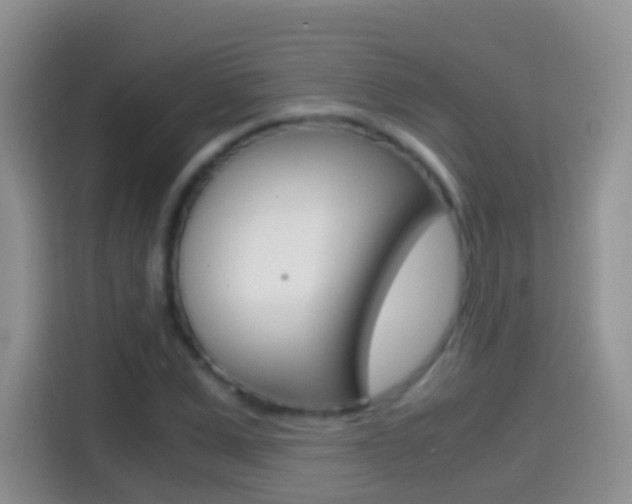 X0000114660975200910201017