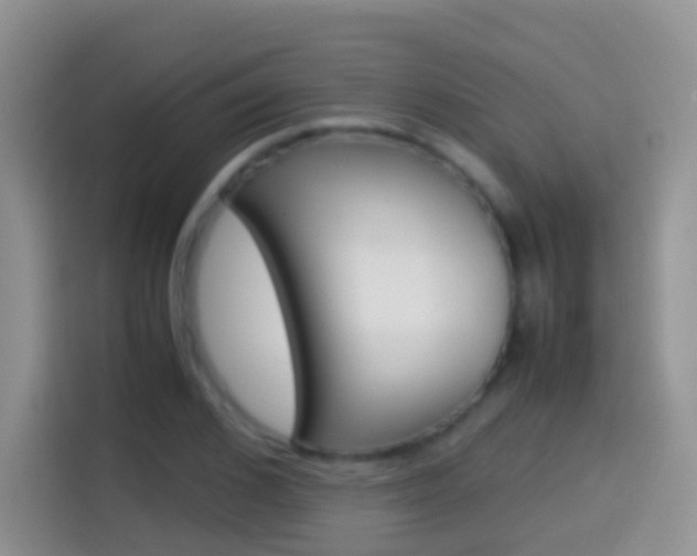 X0000114660976200910201017