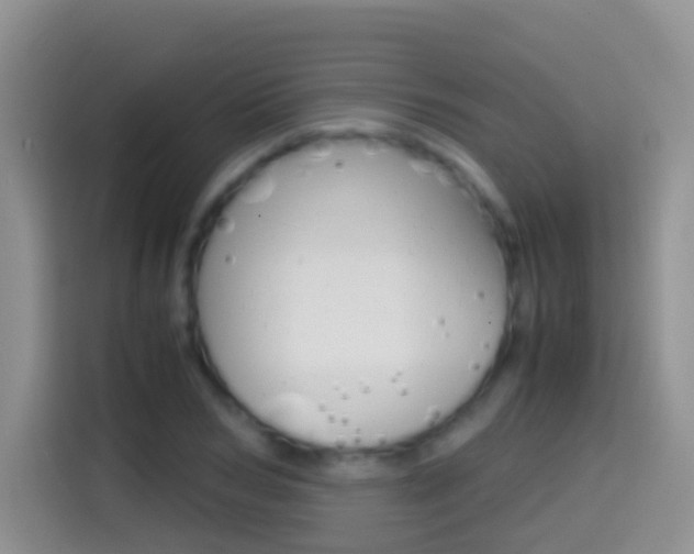 X0000114660978200910201017