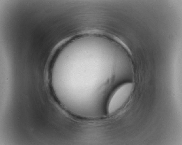 X0000114660979200910201017