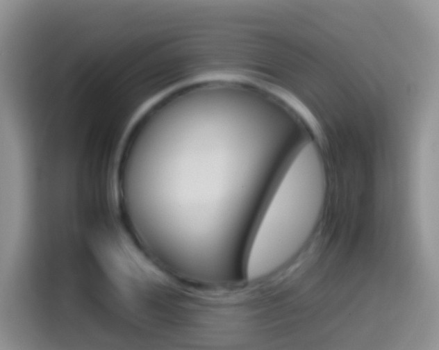 X0000114660980200910201017