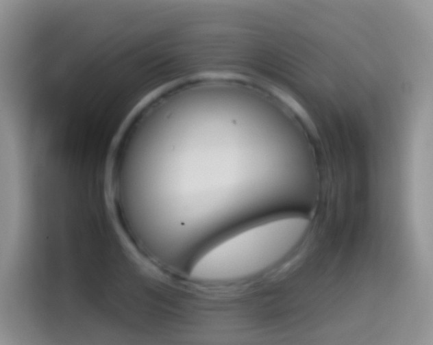 X0000114660984200910201017