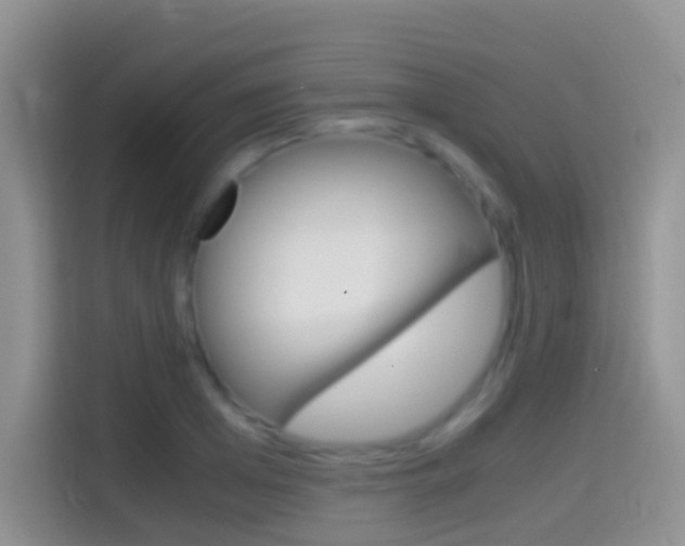 X0000114660985200910201017