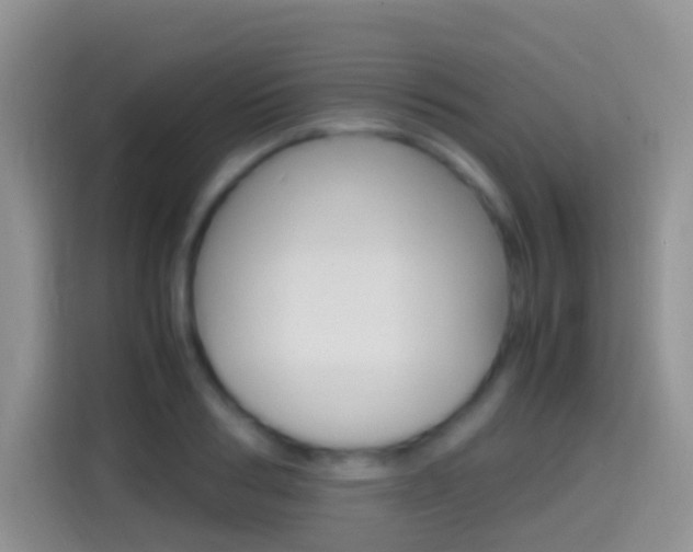 X0000114660986200910201017