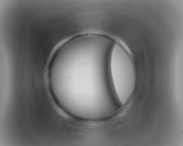X0000114660987200910201017