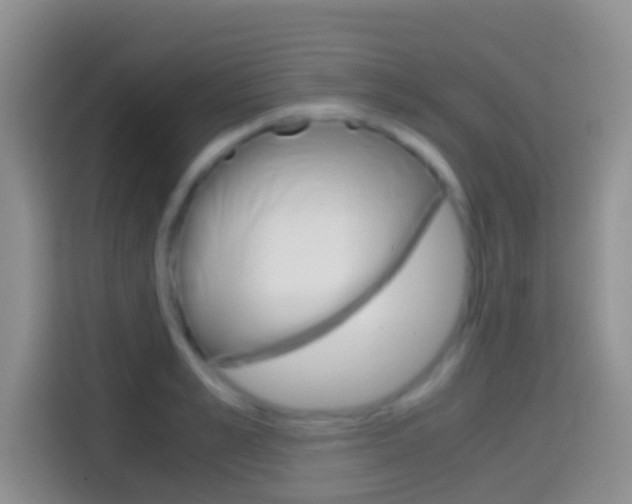 X0000114660989200910201017
