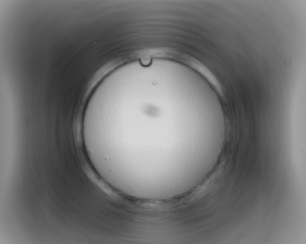 X0000114660994200910201017