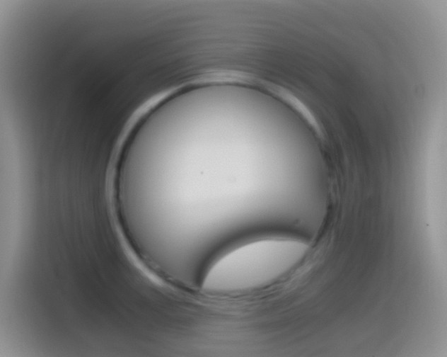 X0000114660995200910201017