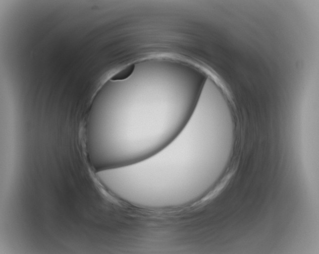 X0000114661001200910201017