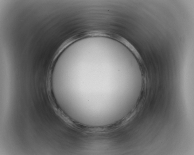 X0000114661002200910201017