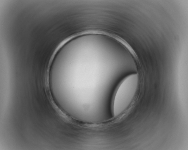 X0000114661004200910201017