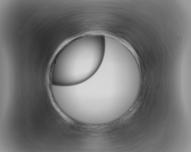 X0000114661005200910201017