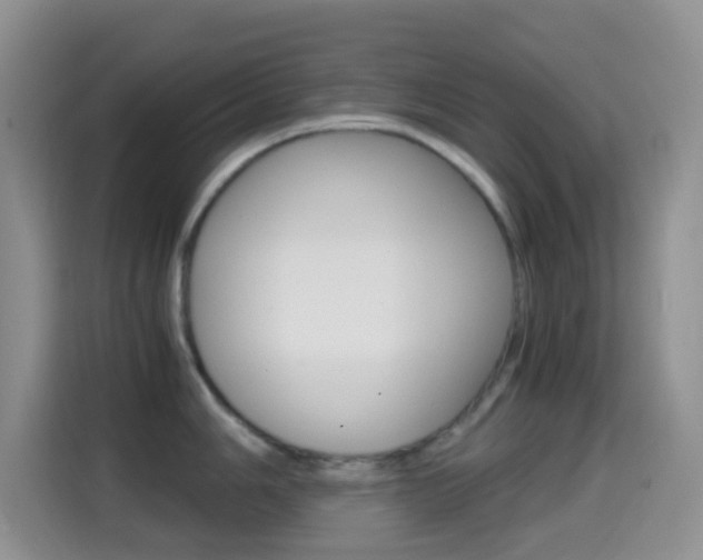 X0000114661006200910201017